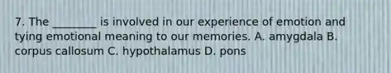 7. The ________ is involved in our experience of emotion and tying emotional meaning to our memories. A. amygdala B. corpus callosum C. hypothalamus D. pons