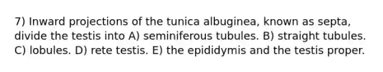 7) Inward projections of the tunica albuginea, known as septa, divide the testis into A) seminiferous tubules. B) straight tubules. C) lobules. D) rete testis. E) the epididymis and the testis proper.