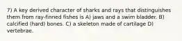 7) A key derived character of sharks and rays that distinguishes them from ray-finned fishes is A) jaws and a swim bladder. B) calcified (hard) bones. C) a skeleton made of cartilage D) vertebrae.