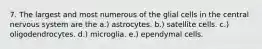 7. The largest and most numerous of the glial cells in the central nervous system are the a.) astrocytes. b.) satellite cells. c.) oligodendrocytes. d.) microglia. e.) ependymal cells.