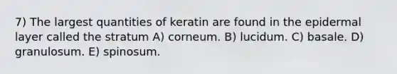 7) The largest quantities of keratin are found in the epidermal layer called the stratum A) corneum. B) lucidum. C) basale. D) granulosum. E) spinosum.