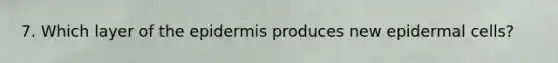 7. Which layer of the epidermis produces new epidermal cells?