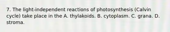 7. The light-independent reactions of photosynthesis (Calvin cycle) take place in the A. thylakoids. B. cytoplasm. C. grana. D. stroma.