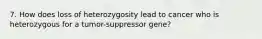 7. How does loss of heterozygosity lead to cancer who is heterozygous for a tumor-suppressor gene?