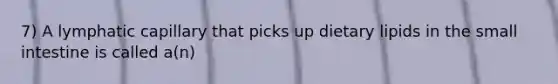 7) A lymphatic capillary that picks up dietary lipids in <a href='https://www.questionai.com/knowledge/kt623fh5xn-the-small-intestine' class='anchor-knowledge'>the small intestine</a> is called a(n)