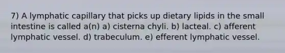 7) A lymphatic capillary that picks up dietary lipids in the small intestine is called a(n) a) cisterna chyli. b) lacteal. c) afferent lymphatic vessel. d) trabeculum. e) efferent lymphatic vessel.