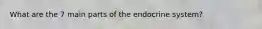 What are the 7 main parts of the endocrine system?