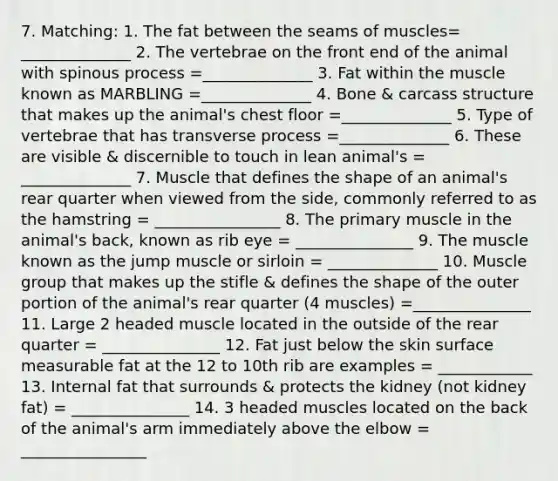 7. Matching: 1. The fat between the seams of muscles= ______________ 2. The vertebrae on the front end of the animal with spinous process =______________ 3. Fat within the muscle known as MARBLING =______________ 4. Bone & carcass structure that makes up the animal's chest floor =______________ 5. Type of vertebrae that has transverse process =______________ 6. These are visible & discernible to touch in lean animal's = ______________ 7. Muscle that defines the shape of an animal's rear quarter when viewed from the side, commonly referred to as the hamstring = ________________ 8. The primary muscle in the animal's back, known as rib eye = _______________ 9. The muscle known as the jump muscle or sirloin = ______________ 10. Muscle group that makes up the stifle & defines the shape of the outer portion of the animal's rear quarter (4 muscles) =_______________ 11. Large 2 headed muscle located in the outside of the rear quarter = _______________ 12. Fat just below the skin surface measurable fat at the 12 to 10th rib are examples = ____________ 13. Internal fat that surrounds & protects the kidney (not kidney fat) = _______________ 14. 3 headed muscles located on the back of the animal's arm immediately above the elbow = ________________