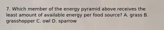 7. Which member of the energy pyramid above receives the least amount of available energy per food source? A. grass B. grasshopper C. owl D. sparrow