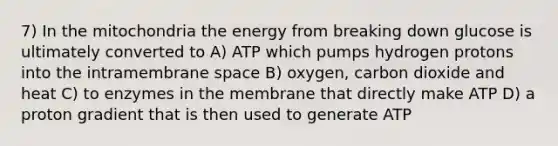 7) In the mitochondria the energy from breaking down glucose is ultimately converted to A) ATP which pumps hydrogen protons into the intramembrane space B) oxygen, carbon dioxide and heat C) to enzymes in the membrane that directly make ATP D) a proton gradient that is then used to generate ATP