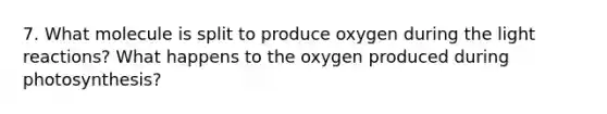 7. What molecule is split to produce oxygen during the light reactions? What happens to the oxygen produced during photosynthesis?