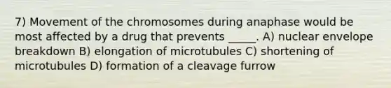 7) Movement of the chromosomes during anaphase would be most affected by a drug that prevents _____. A) nuclear envelope breakdown B) elongation of microtubules C) shortening of microtubules D) formation of a cleavage furrow