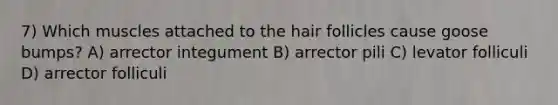 7) Which muscles attached to the hair follicles cause goose bumps? A) arrector integument B) arrector pili C) levator folliculi D) arrector folliculi