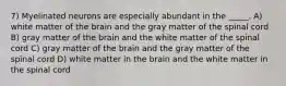 7) Myelinated neurons are especially abundant in the _____. A) white matter of the brain and the gray matter of the spinal cord B) gray matter of the brain and the white matter of the spinal cord C) gray matter of the brain and the gray matter of the spinal cord D) white matter in the brain and the white matter in the spinal cord