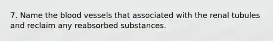 7. Name the blood vessels that associated with the renal tubules and reclaim any reabsorbed substances.