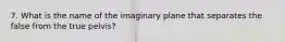 7. What is the name of the imaginary plane that separates the false from the true pelvis?