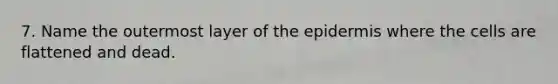 7. Name the outermost layer of the epidermis where the cells are flattened and dead.