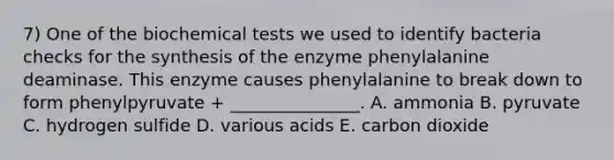 7) One of the biochemical tests we used to identify bacteria checks for the synthesis of the enzyme phenylalanine deaminase. This enzyme causes phenylalanine to break down to form phenylpyruvate + _______________. A. ammonia B. pyruvate C. hydrogen sulfide D. various acids E. carbon dioxide