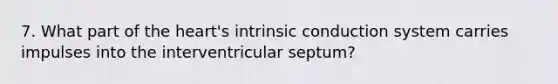 7. What part of the heart's intrinsic conduction system carries impulses into the interventricular septum?