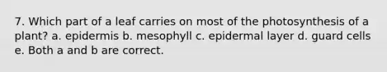 7. Which part of a leaf carries on most of the photosynthesis of a plant? a. epidermis b. mesophyll c. epidermal layer d. guard cells e. Both a and b are correct.