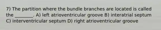 7) The partition where the bundle branches are located is called the ________. A) left atrioventricular groove B) interatrial septum C) interventricular septum D) right atrioventricular groove