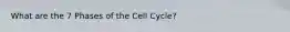 What are the 7 Phases of the Cell Cycle?