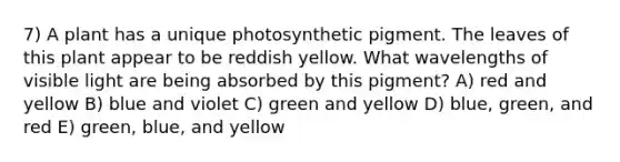 7) A plant has a unique photosynthetic pigment. The leaves of this plant appear to be reddish yellow. What wavelengths of visible light are being absorbed by this pigment? A) red and yellow B) blue and violet C) green and yellow D) blue, green, and red E) green, blue, and yellow