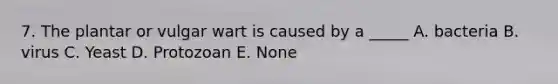 7. The plantar or vulgar wart is caused by a _____ A. bacteria B. virus C. Yeast D. Protozoan E. None