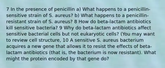 7 In the presence of penicillin a) What happens to a penicillin-sensitive strain of S. aureus? b) What happens to a penicillin-resistant strain of S. aureus? 8 How do beta-lactam antibiotics kill sensitive bacteria? 9 Why do beta-lactam antibiotics affect sensitive bacterial cells but not <a href='https://www.questionai.com/knowledge/kb526cpm6R-eukaryotic-cells' class='anchor-knowledge'>eukaryotic cells</a>? (You may want to review cell structure, 10 A sensitive S. aureus bacterium acquires a new gene that allows it to resist the effects of beta-lactam antibiotics (that is, the bacterium is now resistant). What might the protein encoded by that gene do?