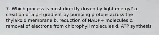 7. Which process is most directly driven by light energy? a. creation of a pH gradient by pumping protons across the thylakoid membrane b. reduction of NADP+ molecules c. removal of electrons from chlorophyll molecules d. ATP synthesis