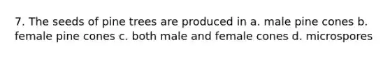 7. The seeds of pine trees are produced in a. male pine cones b. female pine cones c. both male and female cones d. microspores