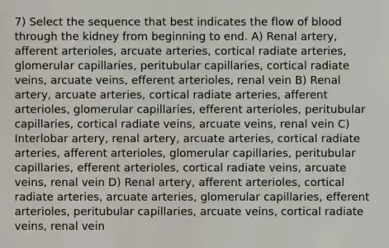 7) Select the sequence that best indicates the flow of blood through the kidney from beginning to end. A) Renal artery, afferent arterioles, arcuate arteries, cortical radiate arteries, glomerular capillaries, peritubular capillaries, cortical radiate veins, arcuate veins, efferent arterioles, renal vein B) Renal artery, arcuate arteries, cortical radiate arteries, afferent arterioles, glomerular capillaries, efferent arterioles, peritubular capillaries, cortical radiate veins, arcuate veins, renal vein C) Interlobar artery, renal artery, arcuate arteries, cortical radiate arteries, afferent arterioles, glomerular capillaries, peritubular capillaries, efferent arterioles, cortical radiate veins, arcuate veins, renal vein D) Renal artery, afferent arterioles, cortical radiate arteries, arcuate arteries, glomerular capillaries, efferent arterioles, peritubular capillaries, arcuate veins, cortical radiate veins, renal vein