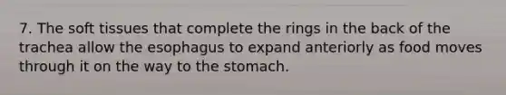 7. The soft tissues that complete the rings in the back of the trachea allow the esophagus to expand anteriorly as food moves through it on the way to the stomach.