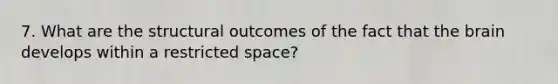 7. What are the structural outcomes of the fact that the brain develops within a restricted space?