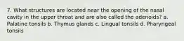 7. What structures are located near the opening of the nasal cavity in the upper throat and are also called the adenoids? a. Palatine tonsils b. Thymus glands c. Lingual tonsils d. Pharyngeal tonsils
