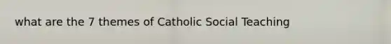 what are the 7 themes of Catholic Social Teaching