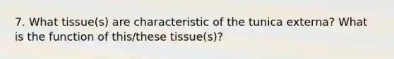 7. What tissue(s) are characteristic of the tunica externa? What is the function of this/these tissue(s)?