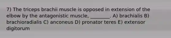 7) The triceps brachii muscle is opposed in extension of the elbow by the antagonistic muscle, ________. A) brachialis B) brachioradialis C) anconeus D) pronator teres E) extensor digitorum