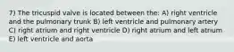 7) The tricuspid valve is located between the: A) right ventricle and the pulmonary trunk B) left ventricle and pulmonary artery C) right atrium and right ventricle D) right atrium and left atrium E) left ventricle and aorta