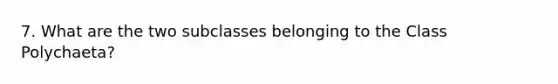 7. What are the two subclasses belonging to the Class Polychaeta?