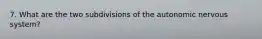 7. What are the two subdivisions of the autonomic nervous system?