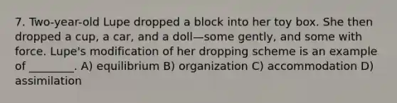 7. Two-year-old Lupe dropped a block into her toy box. She then dropped a cup, a car, and a doll—some gently, and some with force. Lupe's modification of her dropping scheme is an example of ________. A) equilibrium B) organization C) accommodation D) assimilation