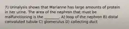 7) Urinalysis shows that Marianne has large amounts of protein in her urine. The area of the nephron that must be malfunctioning is the ________. A) loop of the nephron B) distal convoluted tubule C) glomerulus D) collecting duct