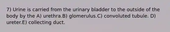 7) Urine is carried from the urinary bladder to the outside of the body by the A) urethra.B) glomerulus.C) convoluted tubule. D) ureter.E) collecting duct.