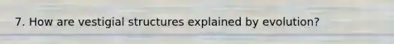 7. How are vestigial structures explained by evolution?