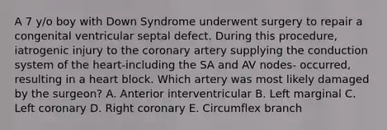 A 7 y/o boy with Down Syndrome underwent surgery to repair a congenital ventricular septal defect. During this procedure, iatrogenic injury to the coronary artery supplying the conduction system of the heart-including the SA and AV nodes- occurred, resulting in a heart block. Which artery was most likely damaged by the surgeon? A. Anterior interventricular B. Left marginal C. Left coronary D. Right coronary E. Circumflex branch