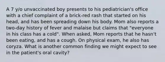 A 7 y/o unvaccinated boy presents to his pediatrician's office with a chief complaint of a brick-red rash that started on his head, and has been spreading down his body. Mom also reports a two-day history of fever and malaise but claims that "everyone in his class has a cold". When asked, Mom reports that he hasn't been eating, and has a cough. On physical exam, he also has coryza. What is another common finding we might expect to see in the patient's oral cavity?