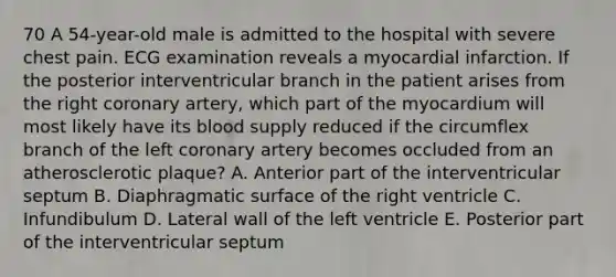 70 A 54-year-old male is admitted to the hospital with severe chest pain. ECG examination reveals a myocardial infarction. If the posterior interventricular branch in the patient arises from the right coronary artery, which part of the myocardium will most likely have its blood supply reduced if the circumflex branch of the left coronary artery becomes occluded from an atherosclerotic plaque? A. Anterior part of the interventricular septum B. Diaphragmatic surface of the right ventricle C. Infundibulum D. Lateral wall of the left ventricle E. Posterior part of the interventricular septum