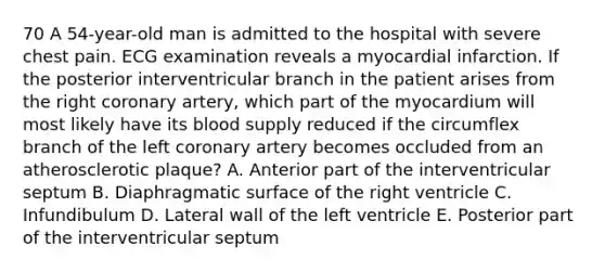 70 A 54-year-old man is admitted to the hospital with severe chest pain. ECG examination reveals a myocardial infarction. If the posterior interventricular branch in the patient arises from the right coronary artery, which part of the myocardium will most likely have its blood supply reduced if the circumflex branch of the left coronary artery becomes occluded from an atherosclerotic plaque? A. Anterior part of the interventricular septum B. Diaphragmatic surface of the right ventricle C. Infundibulum D. Lateral wall of the left ventricle E. Posterior part of the interventricular septum