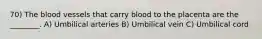 70) The blood vessels that carry blood to the placenta are the ________. A) Umbilical arteries B) Umbilical vein C) Umbilical cord